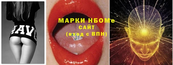 прущие грибы Абинск