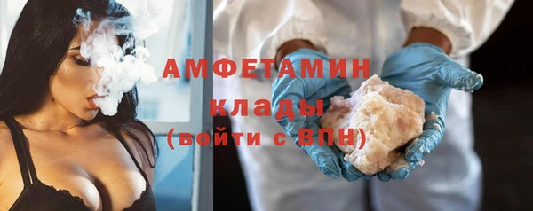 прущие грибы Абинск