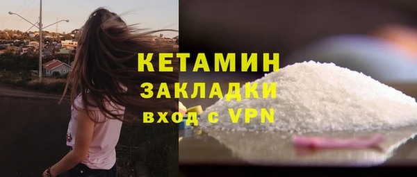 прущие грибы Абинск