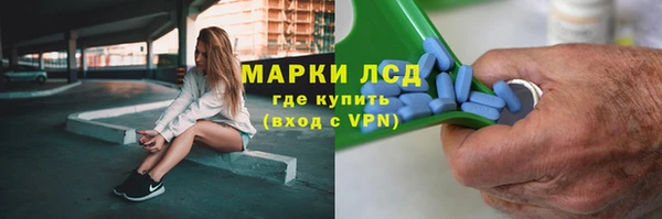 прущие грибы Абинск