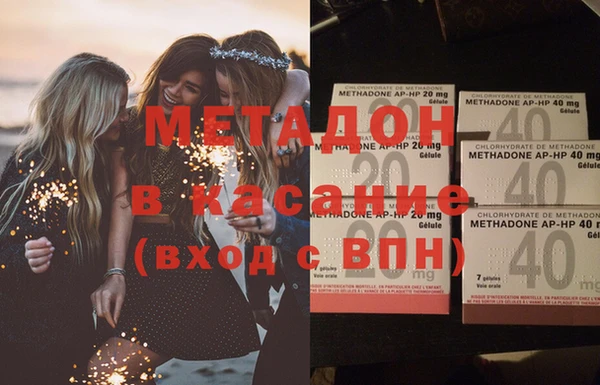 прущие грибы Абинск