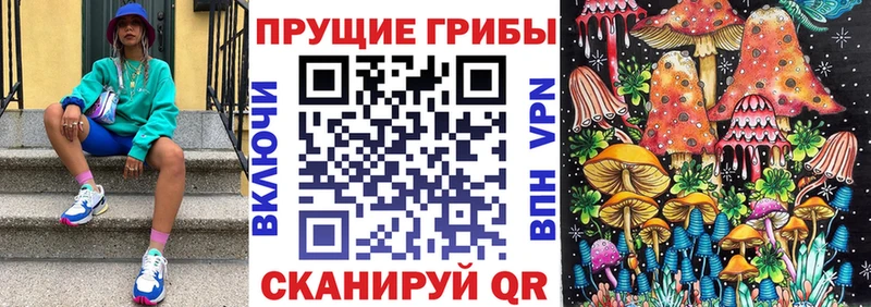 Псилоцибиновые грибы мицелий  Краснодар 